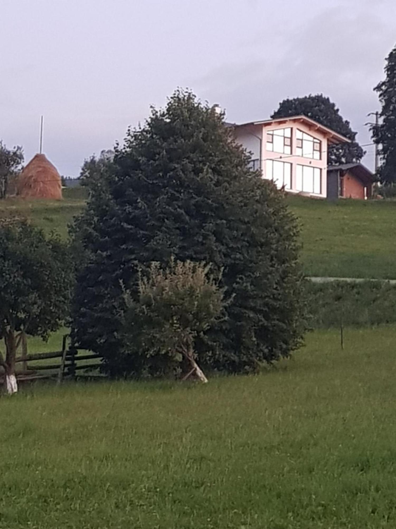 Watra Chalet Hotel Vatra Dornei Eksteriør billede